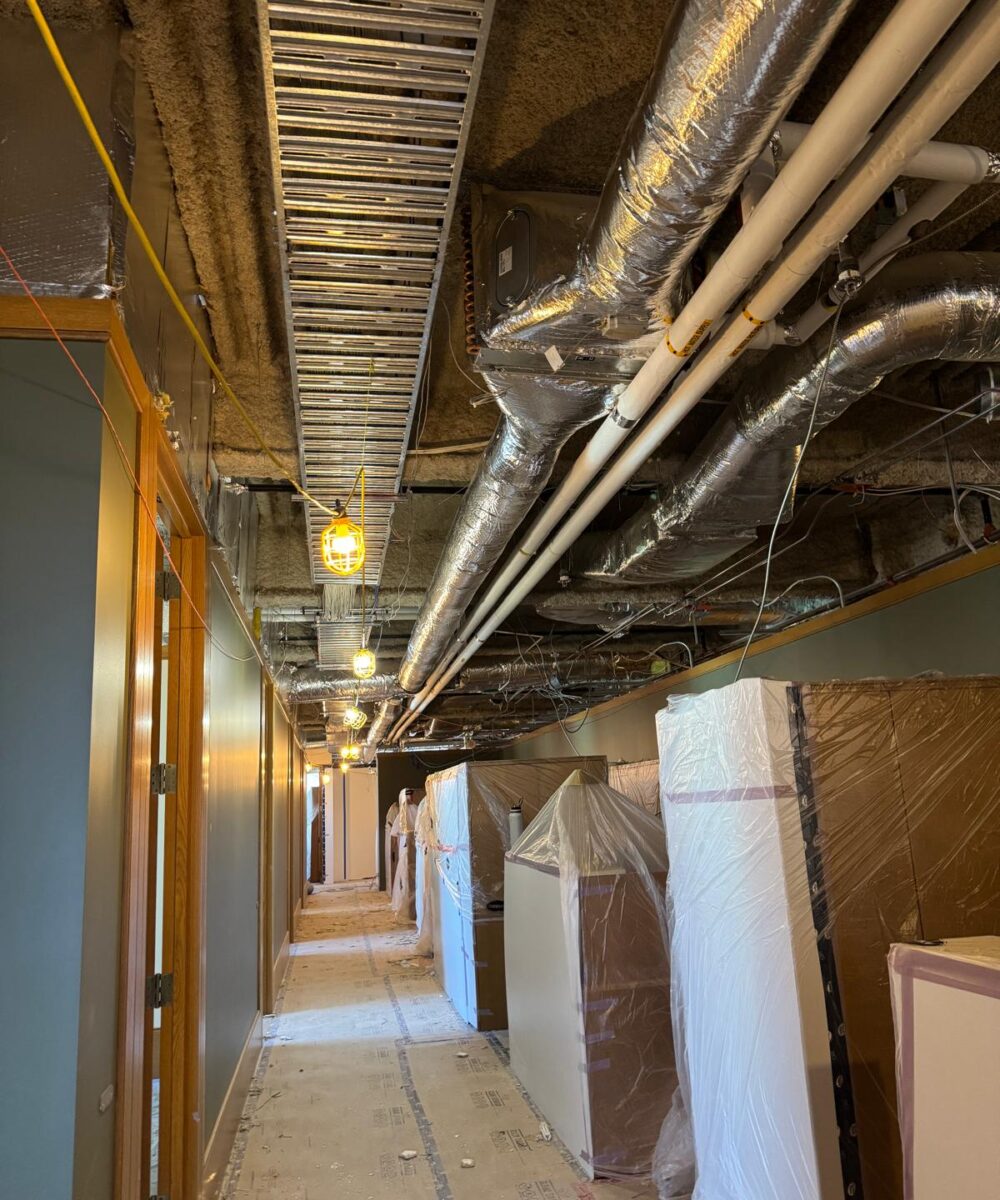 029d36b9-48cc-44c4-9db6-dee13b531f46