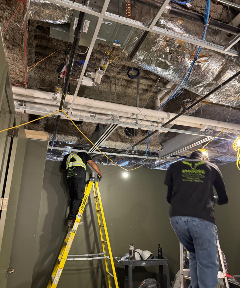 14fe9c2b-e958-4ab5-af40-e41fd1ac5daa