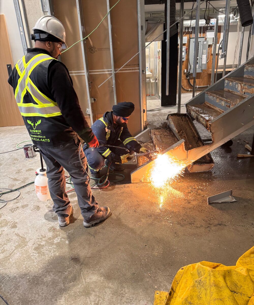 241afea7-07c7-4b2d-b255-6d5c28c40321