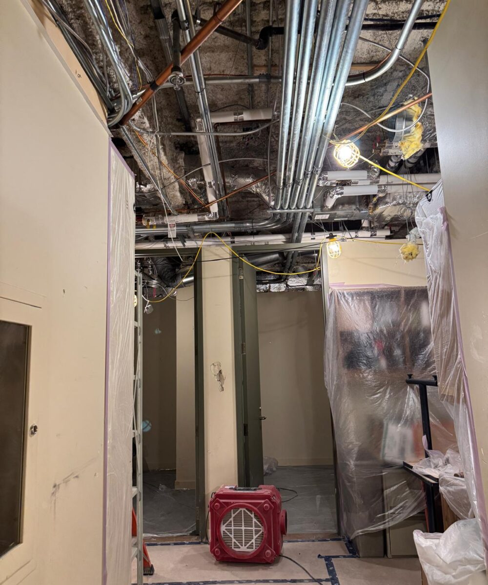 8f793f91-1c15-445d-8c0d-d60a17021426