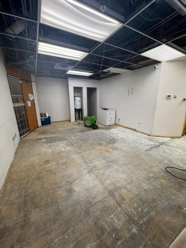 WhatsApp Image 2026-03-09 at 9.23.40 AM (1)