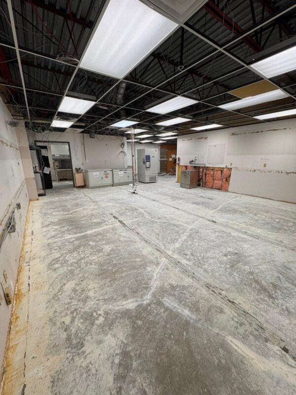 WhatsApp Image 2026-03-09 at 9.23.40 AM