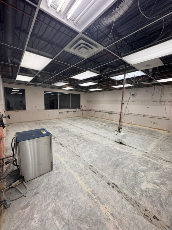 WhatsApp Image 2026-03-09 at 9.23.41 AM (1)