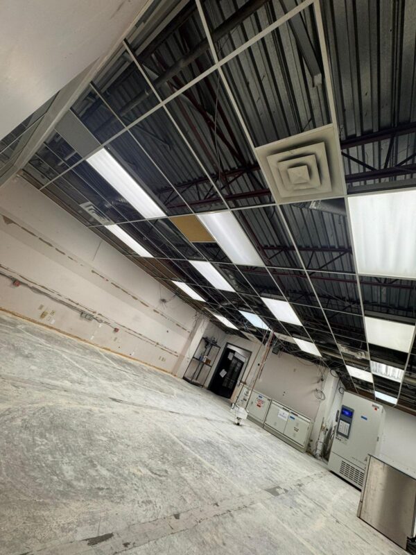 WhatsApp Image 2026-03-09 at 9.23.41 AM (2)