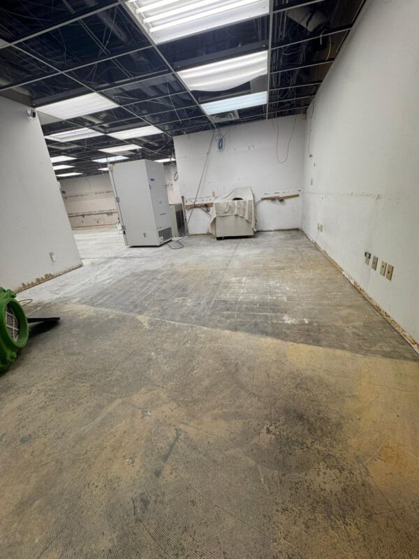 WhatsApp Image 2026-03-09 at 9.23.41 AM (4)